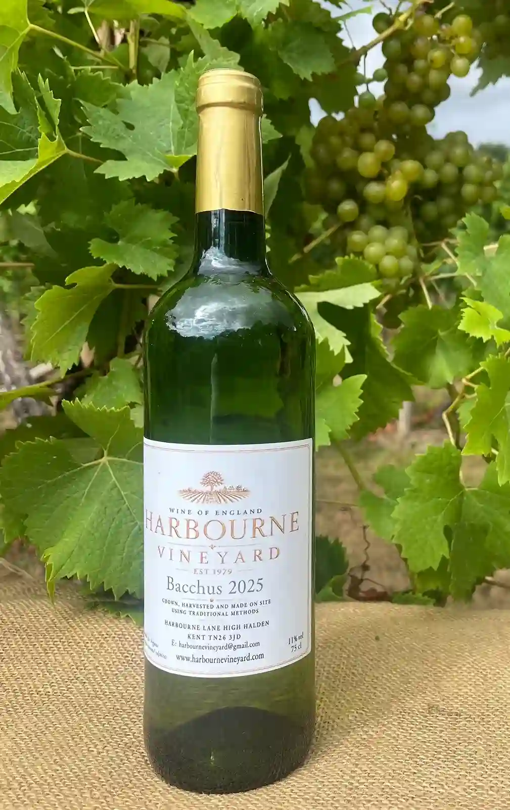Harbourne Bacchus 2025 – signature English wine Kent