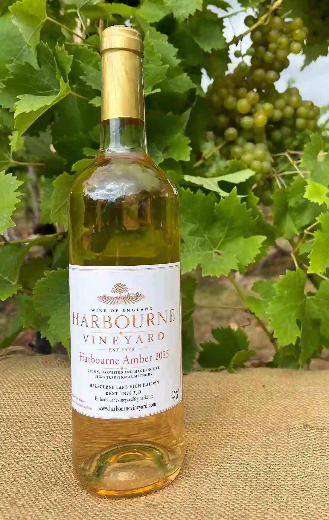 Harbourne Amber 2025 wine bottle from our vineyard Kent