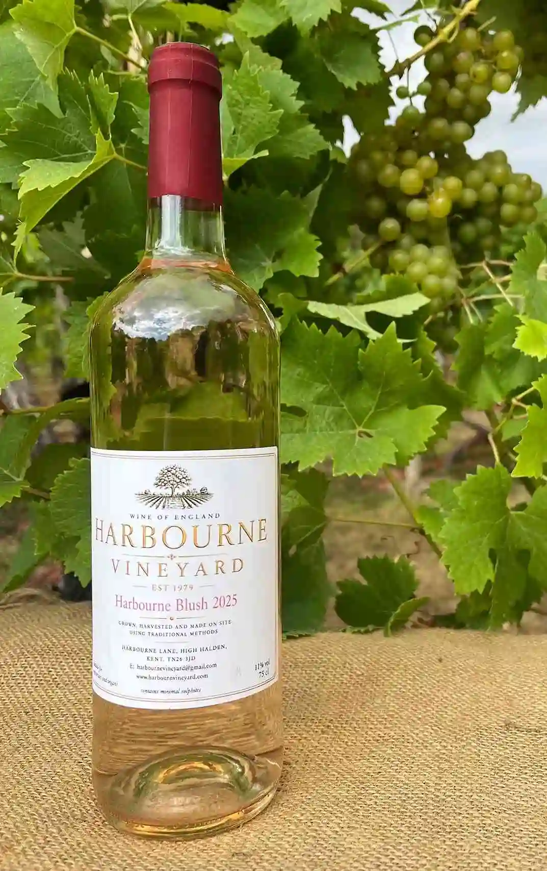 Harbourne Blush 2025 wine bottle produced at vineyard Kent