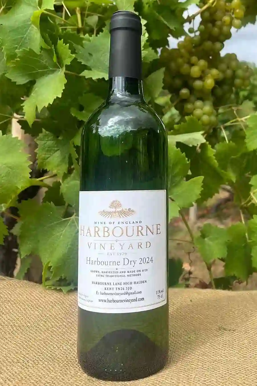 Harbourne Dry 2024 English white wine at vineyard Kent