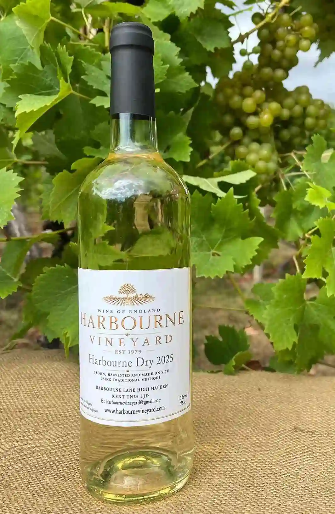 Harbourne Dry 2025 white wine bottle made at vineyard Kent