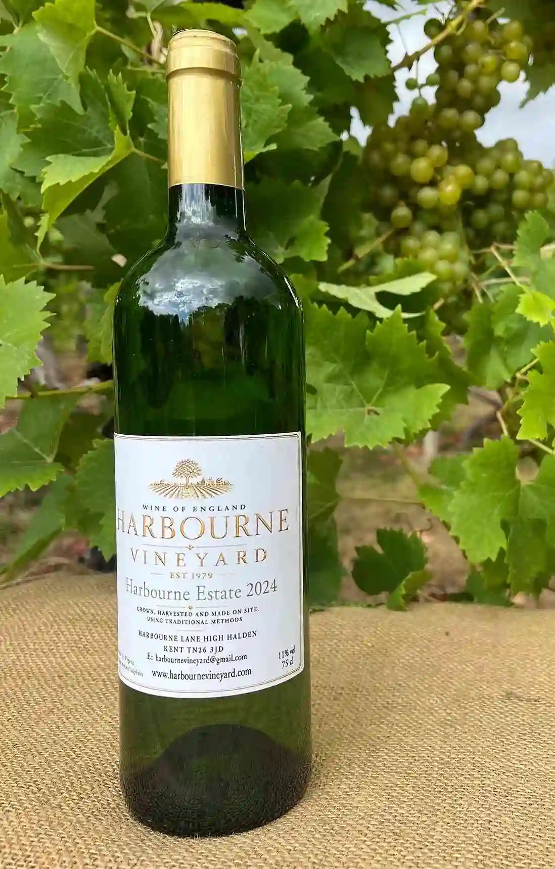 Harbourne Estate White 2024 bottle from vineyard Kent