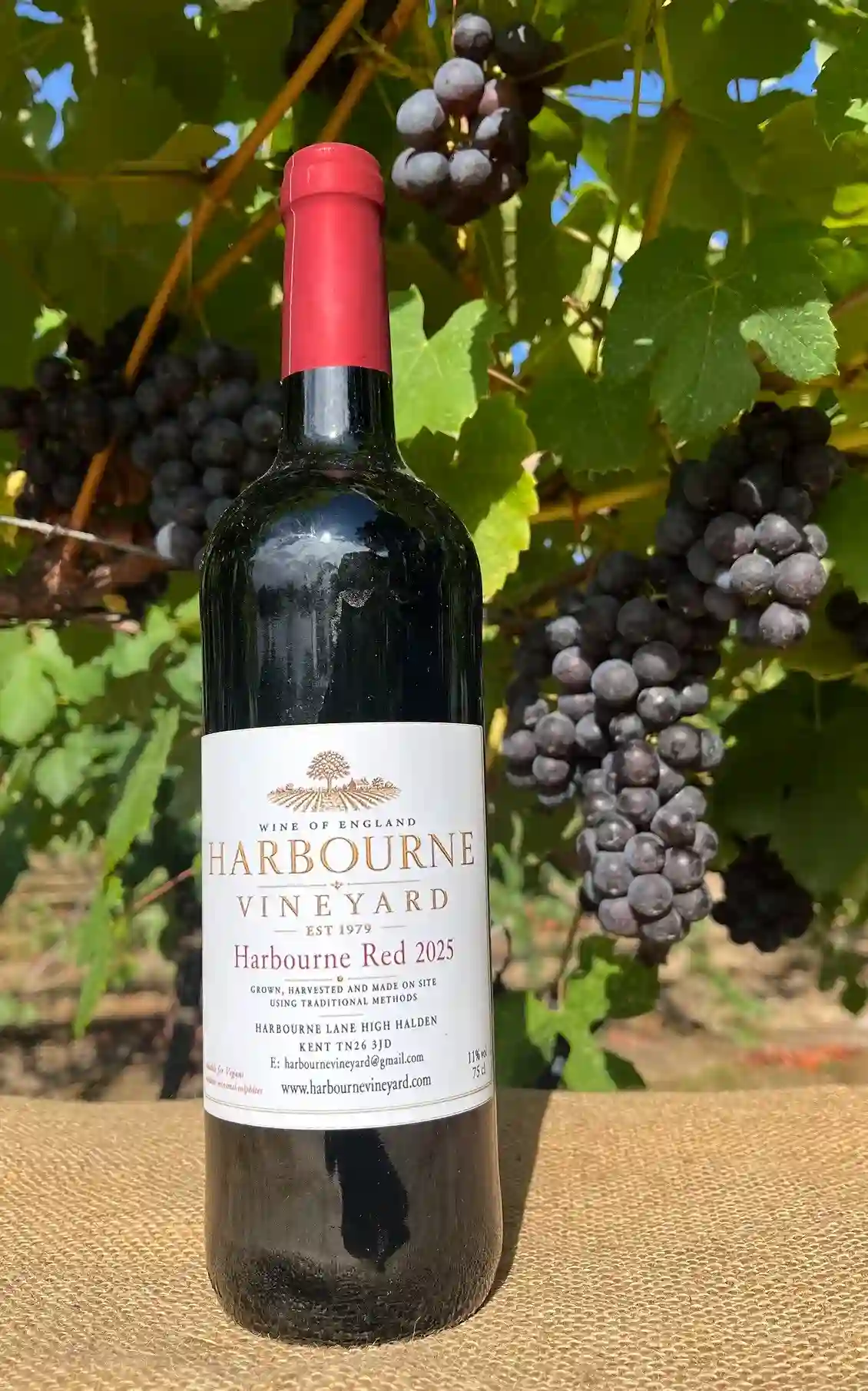 Harbourne Red 2025 bottle – quality English wine Kent