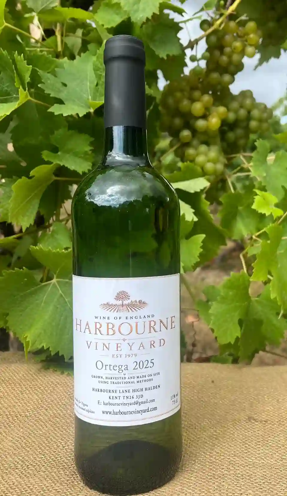 Harbourne Ortega 2025 bottle – fine English wine Kent
